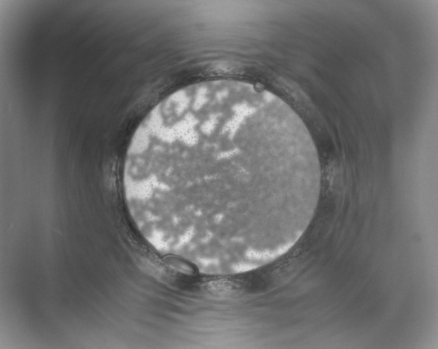 X0000074330423200609230057