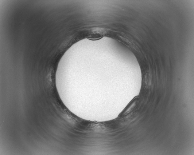 X0000074330424200609230057