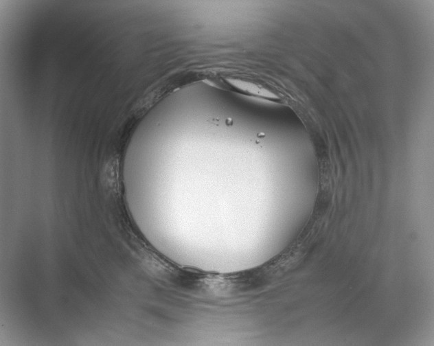 X0000074330425200609230057