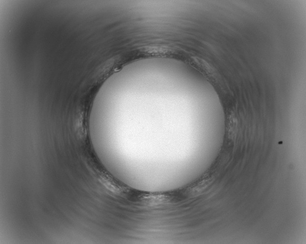 X0000074330428200609230057