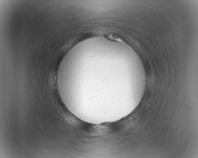 X0000074330429200609230057