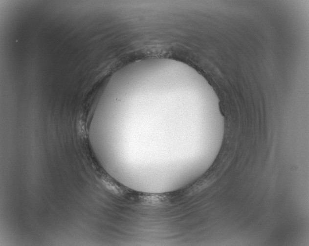 X0000074330432200609230057