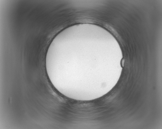 X0000074330433200609230056