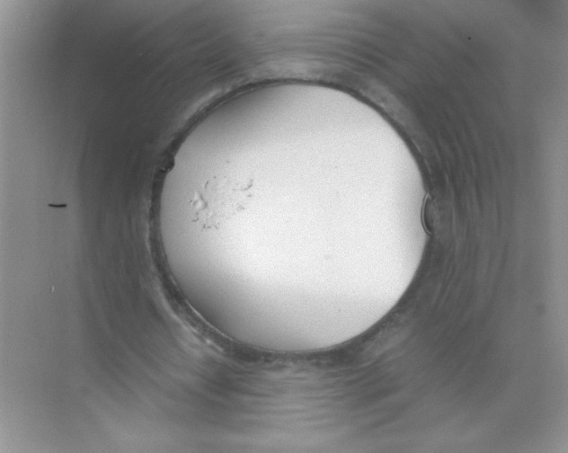 X0000074330434200609230056