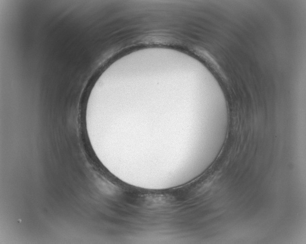 X0000074330439200609230056