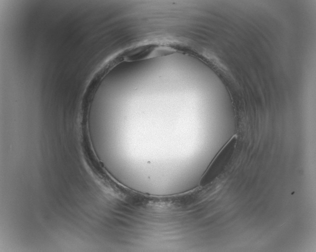 X0000074330440200609230056