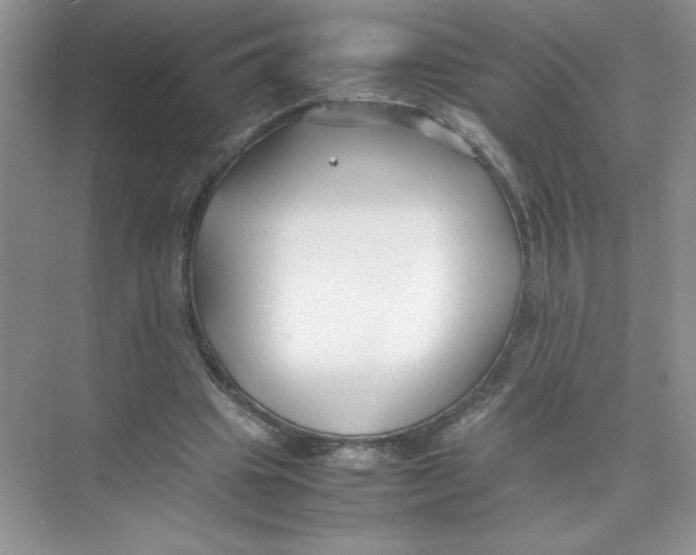 X0000074330441200609230056