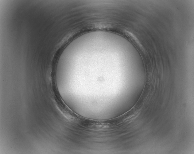 X0000074330443200609230056