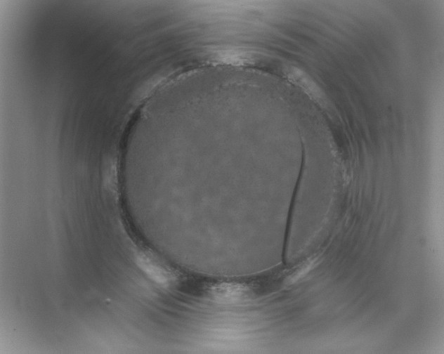 X0000074330444200609230056