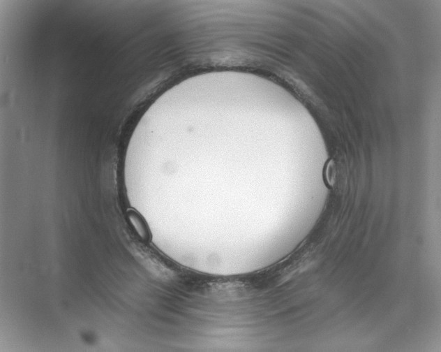 X0000074330446200609230056