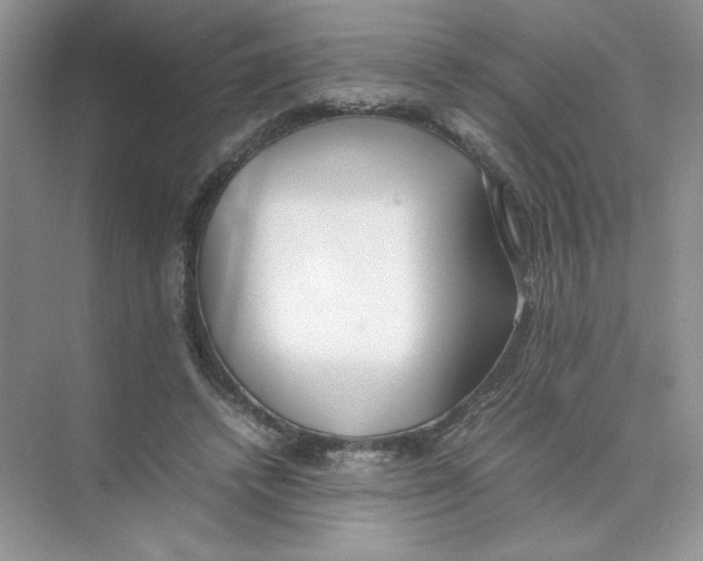 X0000074330448200609230056