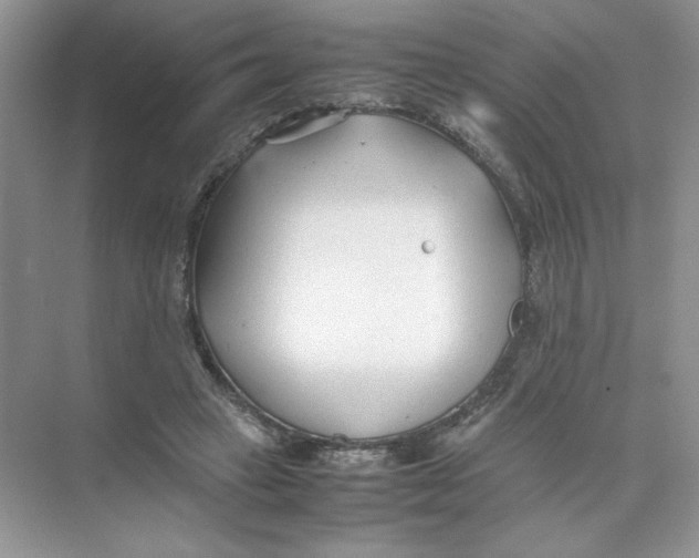 X0000074330449200609230056