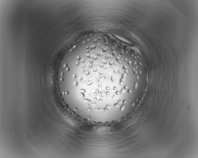 X0000074330452200609230056