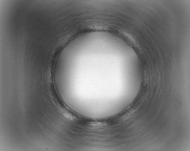 X0000074330453200609230056