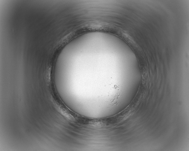 X0000074330454200609230056