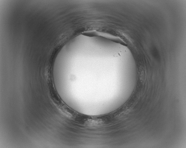 X0000074330455200609230056