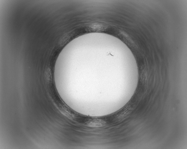 X0000074330459200609230057