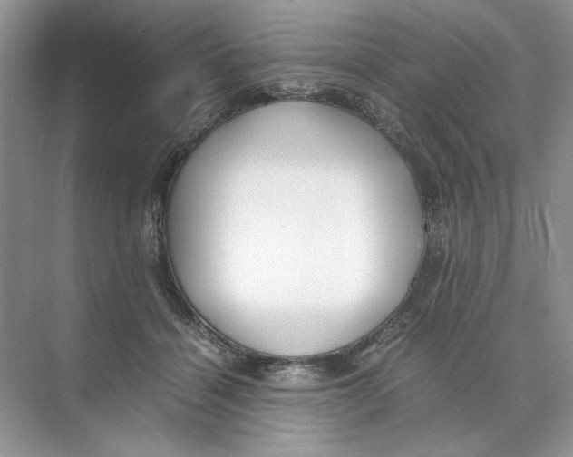 X0000074330460200609230057