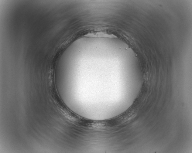 X0000074330462200609230057