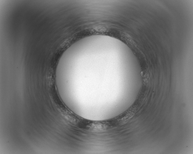 X0000074330464200609230057