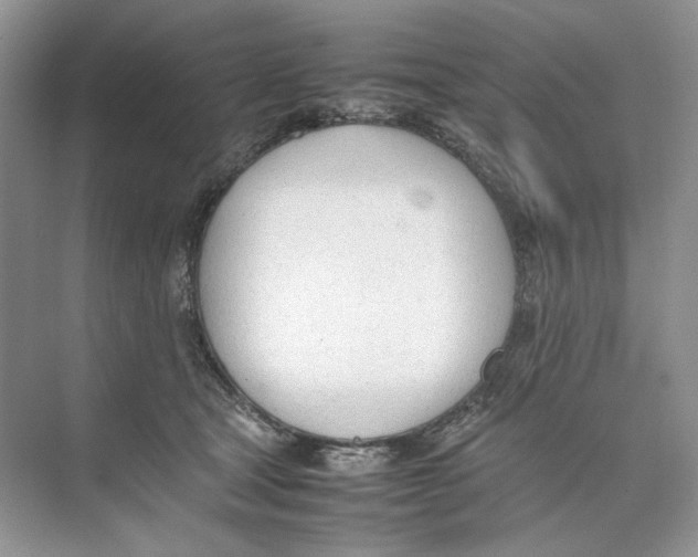 X0000074330465200609230057