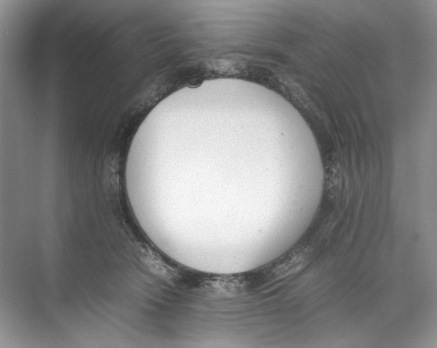 X0000074330466200609230057