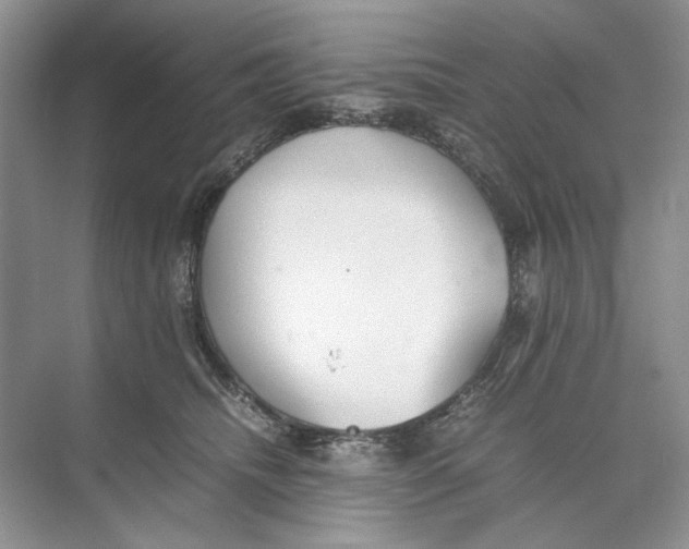 X0000074330468200609230057