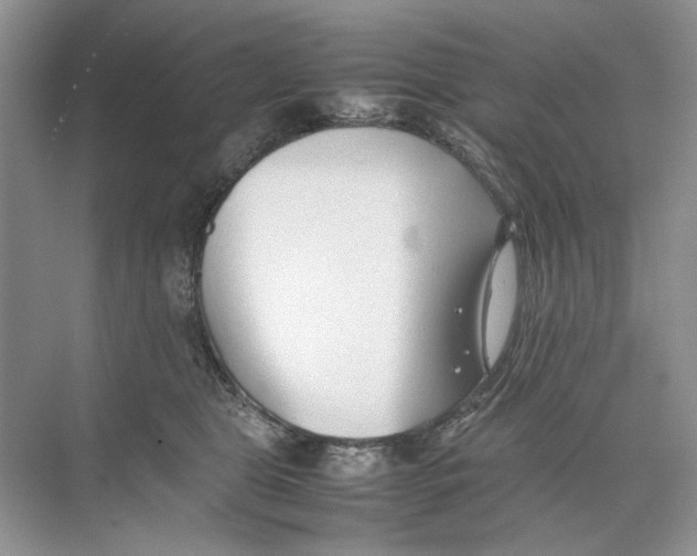 X0000074330469200609230057