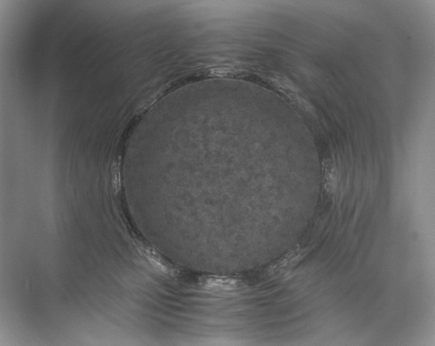 X0000074330471200609230057