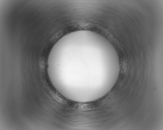 X0000074330472200609230057