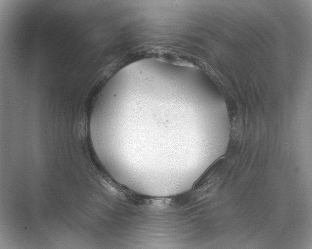 X0000074330474200609230057