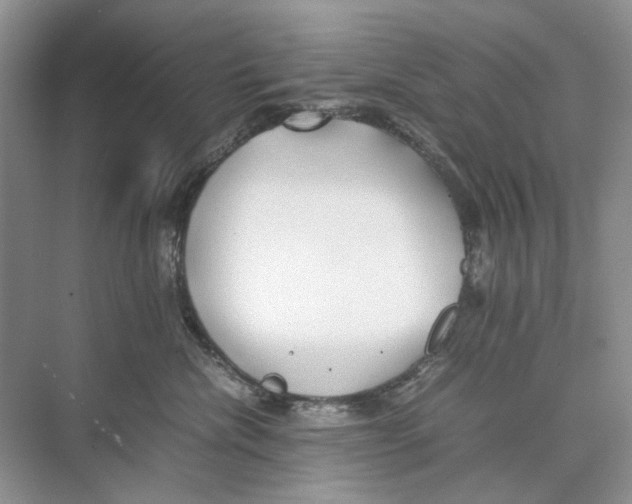 X0000074330476200609230057