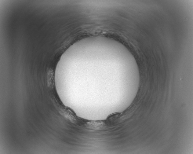 X0000074330480200609230057