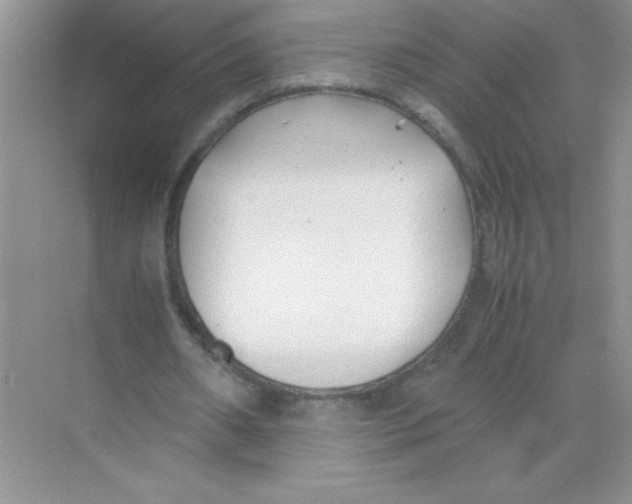 X0000074330482200609230056