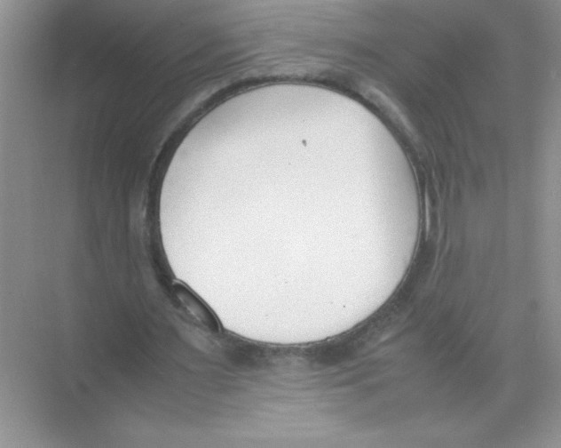 X0000074330483200609230056