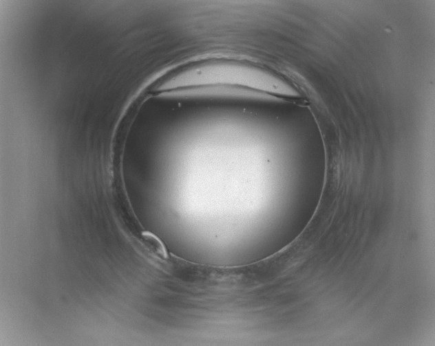 X0000074330484200609230056