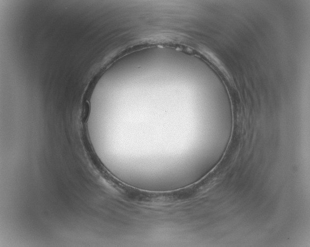 X0000074330485200609230056