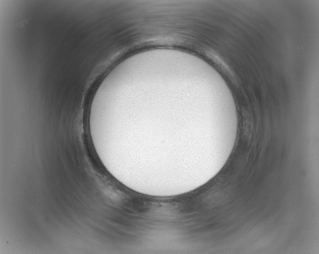 X0000074330486200609230056