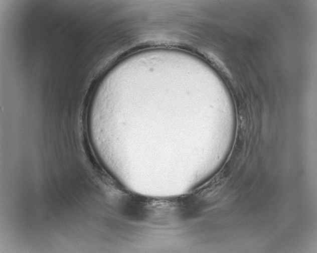 X0000074330487200609230056