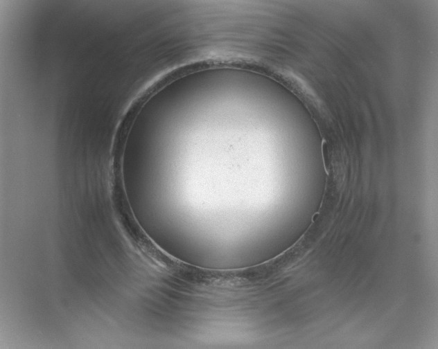 X0000074330488200609230056