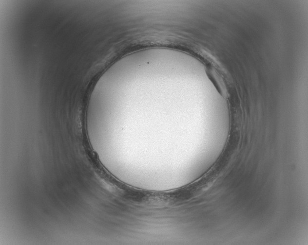 X0000074330489200609230056