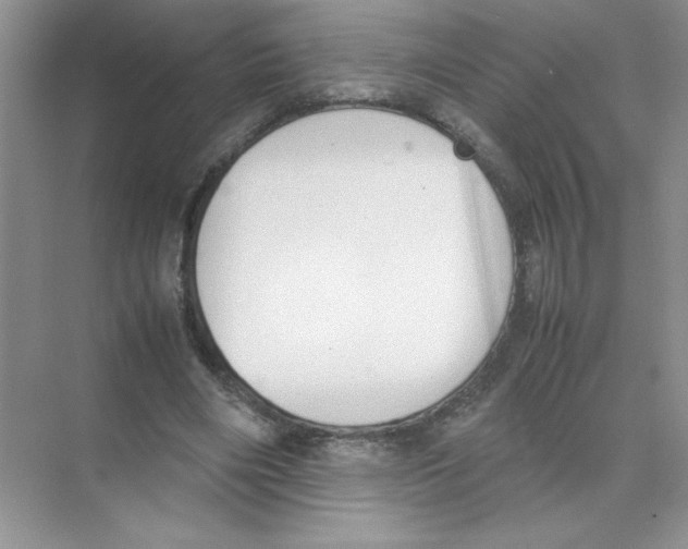 X0000074330490200609230056