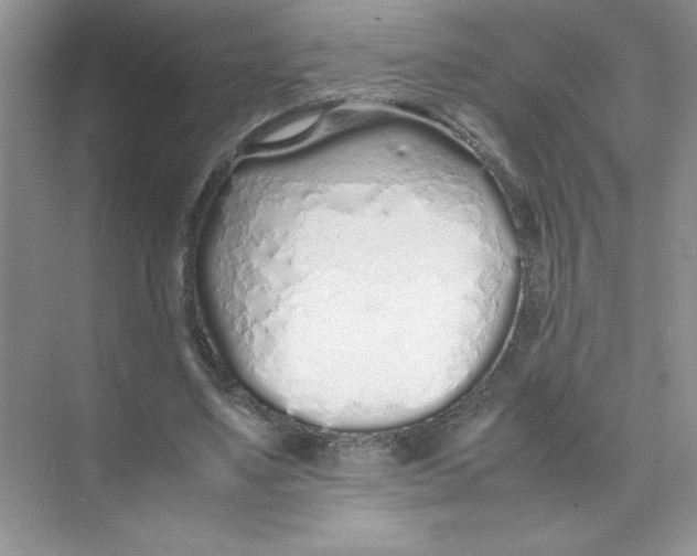 X0000074330491200609230056