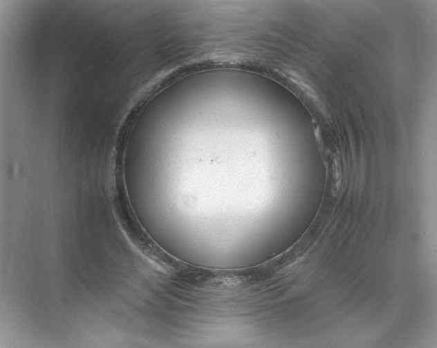 X0000074330492200609230056