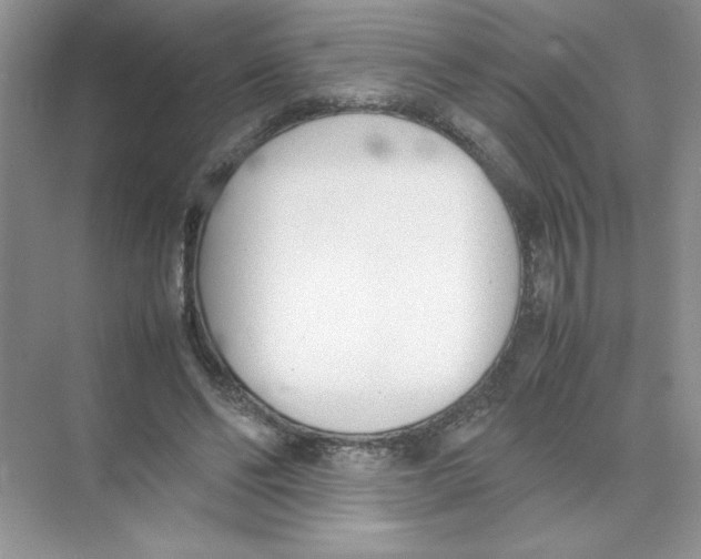 X0000074330494200609230056