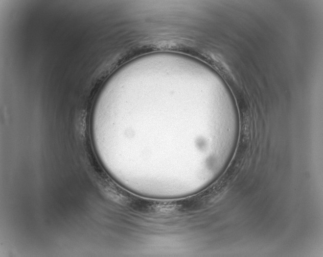 X0000074330495200609230056