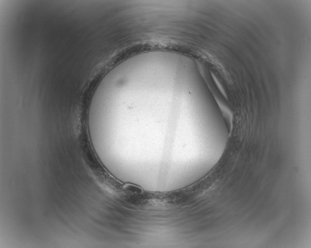 X0000074330496200609230056