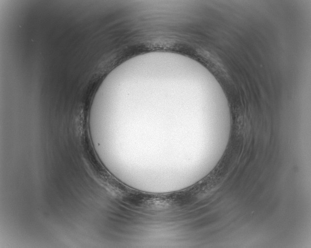 X0000074330498200609230056