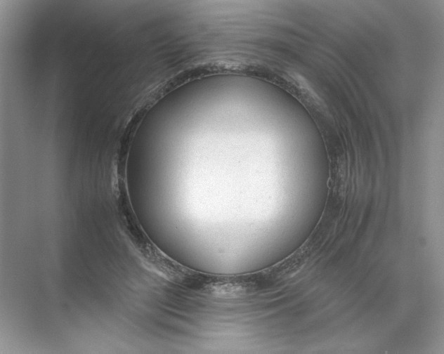 X0000074330500200609230056