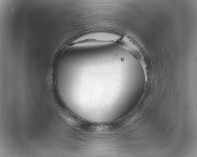 X0000074330501200609230056